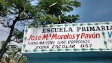 Primaria José María Morelos Y Pavón Matutino